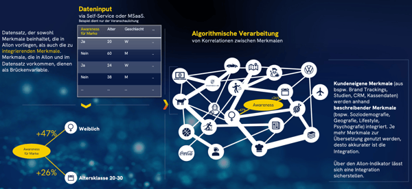 über Brückenvariablen wird dein Brand Tracking in die AIlon Vollerhebung integriert