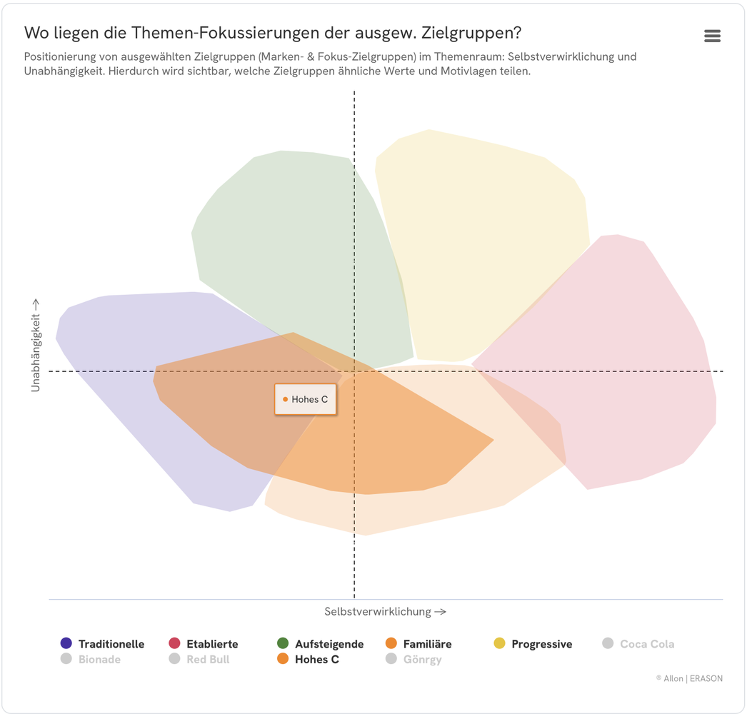 Themenfokussierung der ausgewählten Zielgruppen