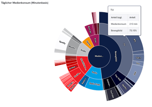 Visualisierung des täglichen Medienkonsums der Zielgruppe auf Minutenbasis